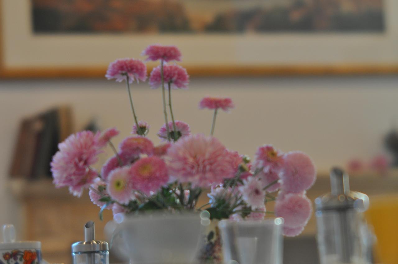 ורונה Piazza Erbe Suites מראה חיצוני תמונה
